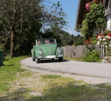 Fotos 2016 von Roland - IMG_3906