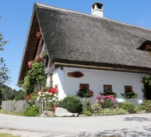 Fotos 2016 von Roland - IMG_3908