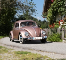 Fotos 2016 von Roland - IMG_3909