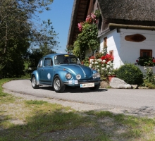 Fotos 2016 von Roland - IMG_3911