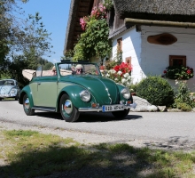 Fotos 2016 von Roland - IMG_3915