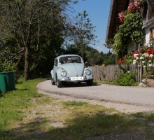 Fotos 2016 von Roland - IMG_3916