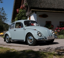 Fotos 2016 von Roland - IMG_3918