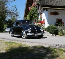 Fotos 2016 von Roland - IMG_3930