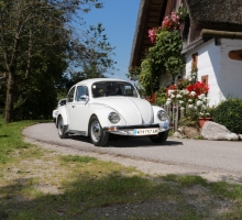 Fotos 2016 von Roland - IMG_3931