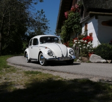 Fotos 2016 von Roland - IMG_3933