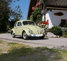 Fotos 2016 von Roland - IMG_3934