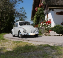 Fotos 2016 von Roland - IMG_3937