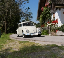 Fotos 2016 von Roland - IMG_3938