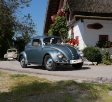 Fotos 2016 von Roland - IMG_3939