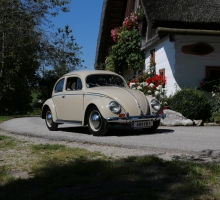 Fotos 2016 von Roland - IMG_3940