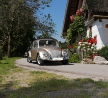 Fotos 2016 von Roland - IMG_3941