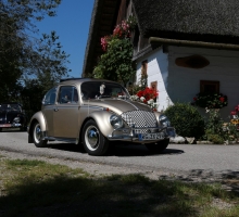 Fotos 2016 von Roland - IMG_3942