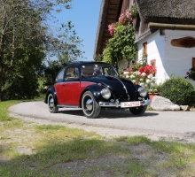 Fotos 2016 von Roland - IMG_3943