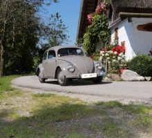 Fotos 2016 von Roland - IMG_3944