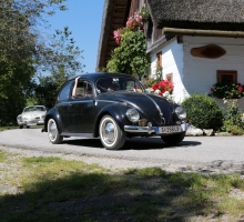 Fotos 2016 von Roland - IMG_3946