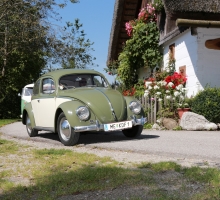 Fotos 2016 von Roland - IMG_3950