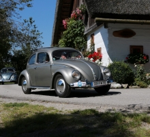 Fotos 2016 von Roland - IMG_3955