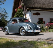 Fotos 2016 von Roland - IMG_3956