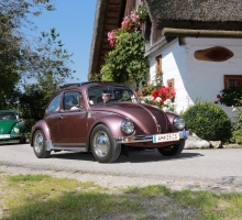 Fotos 2016 von Roland - IMG_3959