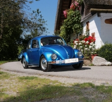 Fotos 2016 von Roland - IMG_3961