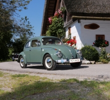 Fotos 2016 von Roland - IMG_3964