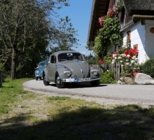 Fotos 2016 von Roland - IMG_3966