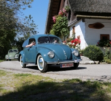 Fotos 2016 von Roland - IMG_3968