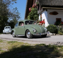 Fotos 2016 von Roland - IMG_3971