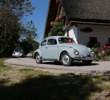 Fotos 2016 von Roland - IMG_3972