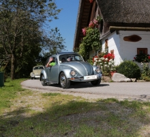 Fotos 2016 von Roland - IMG_3973