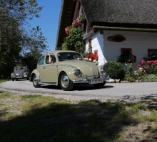 Fotos 2016 von Roland - IMG_3974