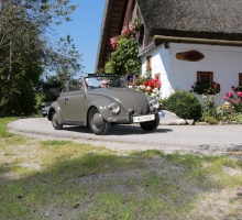 Fotos 2016 von Roland - IMG_3975