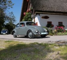 Fotos 2016 von Roland - IMG_3977