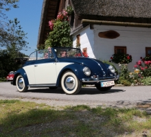 Fotos 2016 von Roland - IMG_3978