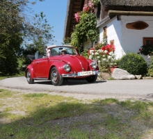 Fotos 2016 von Roland - IMG_3979