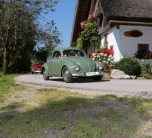 Fotos 2016 von Roland - IMG_3980