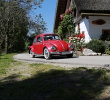 Fotos 2016 von Roland - IMG_3981