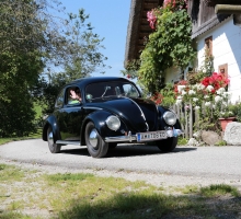 Fotos 2016 von Roland - IMG_3983