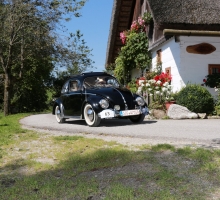 Fotos 2016 von Roland - IMG_3989