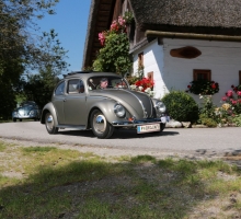 Fotos 2016 von Roland - IMG_3990