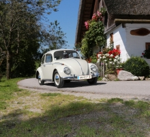 Fotos 2016 von Roland - IMG_3992