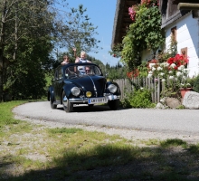 Fotos 2016 von Roland - IMG_3997