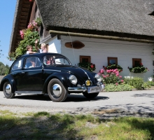 Fotos 2016 von Roland - IMG_3998