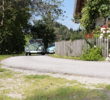 Fotos 2016 von Roland - IMG_3999