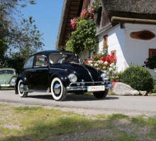 Fotos 2016 von Roland - IMG_4004