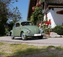 Fotos 2016 von Roland - IMG_4005