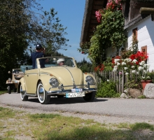 Fotos 2016 von Roland - IMG_4006