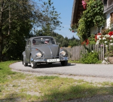 Fotos 2016 von Roland - IMG_4008