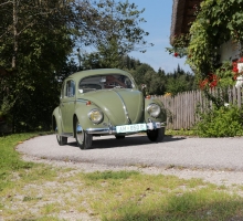 Fotos 2016 von Roland - IMG_4015